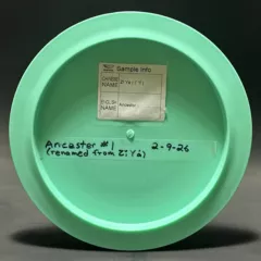 Ancestor