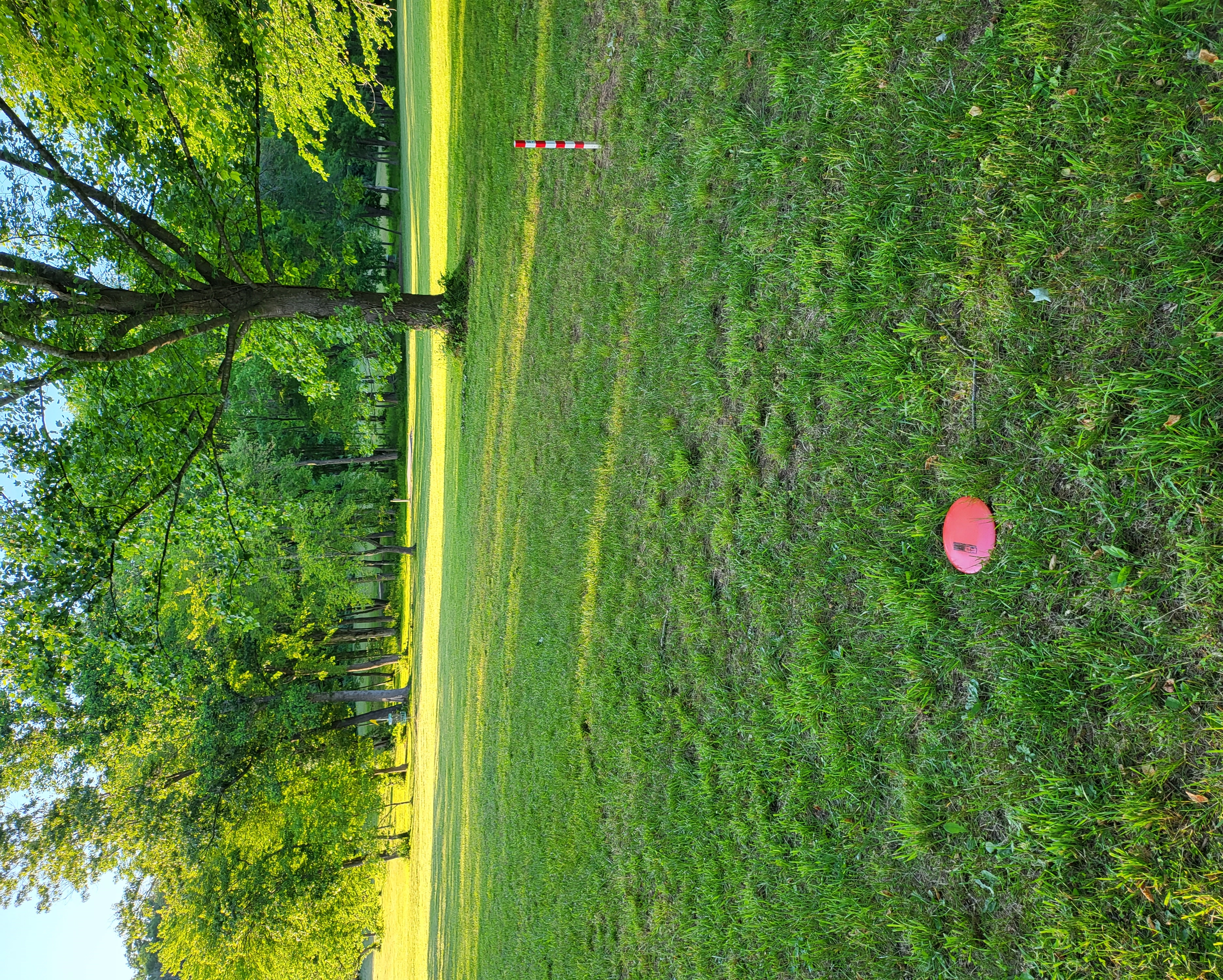 aaronspcmsm!=''?aaronspcmsm:AARON WOOD