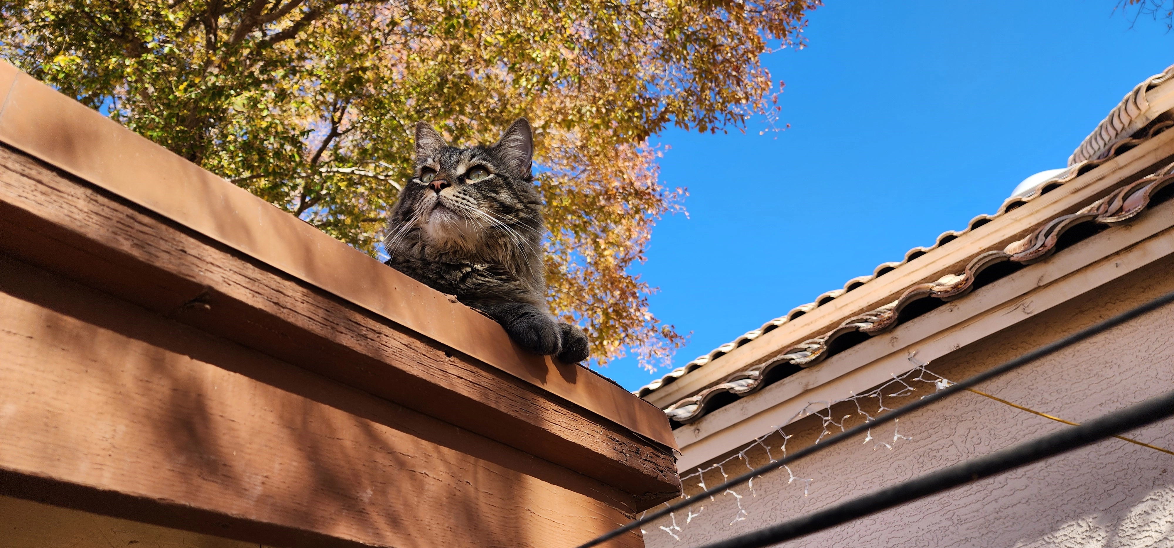 jpaw!=''?jpaw:Jason Pawlik
