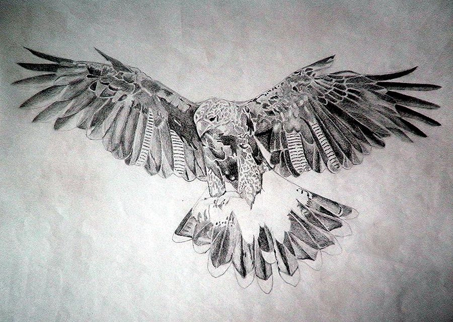 birdbraid3!=''?birdbraid3:Ammar Algburi