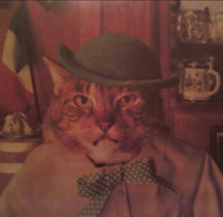 bigdrdre!=''?bigdrdre:Drew Shaffer