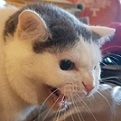 redbyrd69!=''?redbyrd69:Ked Byrd