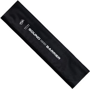 Black Hole Sound Barrier