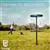 Viking Discs Ground Set - 8 Discs