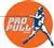 ProPull Disc Golf Trainer